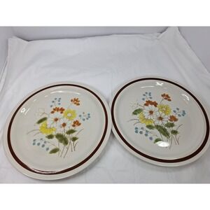 Four Seasons Early Summer Stoneware Dinner Plates Set of 2 Floral Japan Vintage